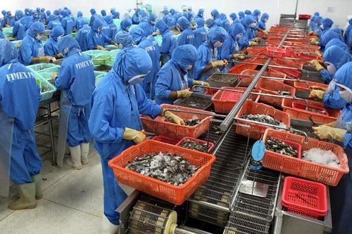 Ngay đầu năm, xuất khẩu nông sản sụt giảm, đối mặt rủi ro