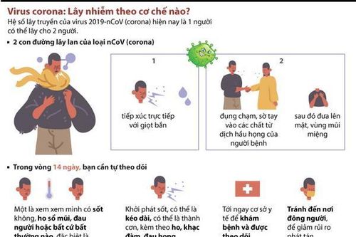 Virus 2019-nCoV lây nhiễm theo cơ chế nào?