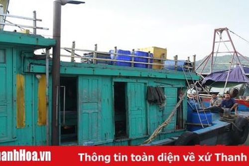 Thực hiện đánh dấu tàu cá theo quy định