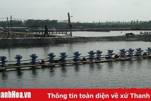 Phát triển hạ tầng vùng nuôi trồng thủy sản