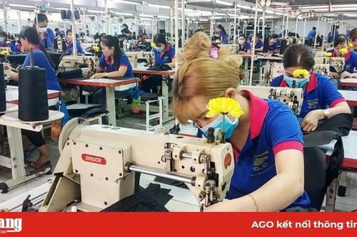 Rộn ràng những ngày làm việc đầu năm