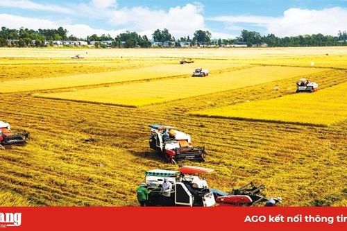 Kịch bản tăng trưởng năm 2020