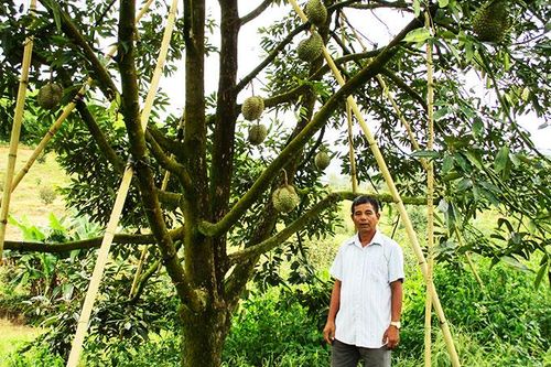 Một nông dân điển hình tiên tiến ở Khánh Sơn