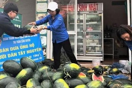Hà Tĩnh: Đoàn thanh niên 'giải cứu' dưa hấu, kiếm lời mua khẩu trang phát miễn phí