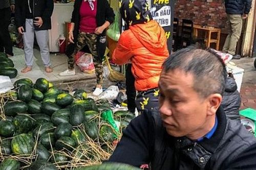 Hiến kế 'giải cứu' hàng ngàn tấn thanh long, dưa hấu ùn tắc cửa khẩu do dịch Corona