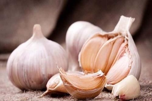 Đông y giúp phòng chống virus Corona như thế nào?