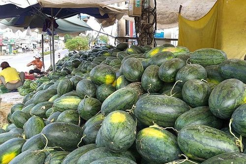 Bao giờ hết 'giải cứu' nông sản?