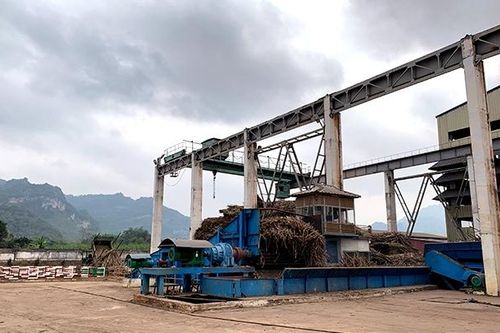 Sớm ổn định vùng nguyên liệu mía ở Tuyên Quang