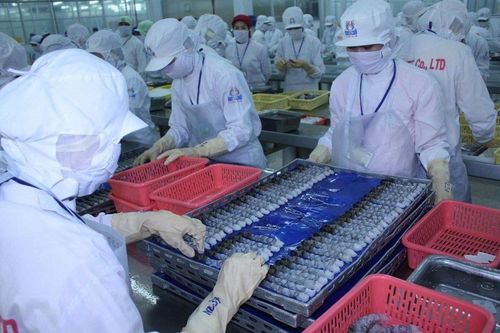 Bộ Công Thương thông tin về việc Mỹ điều tra hành vi lẩn tránh thuế đối với sản phẩm tôm xuất khẩu