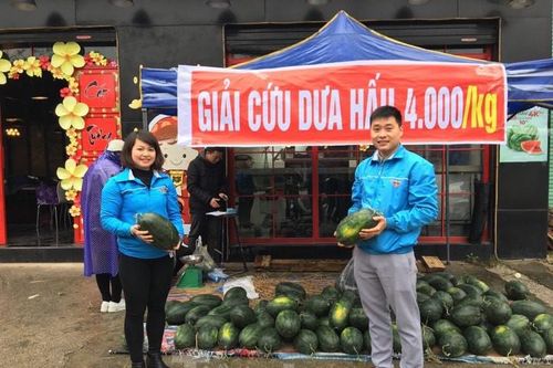 Tuổi trẻ Lạng Sơn 'giải cứu' dưa hấu cho nông dân miền Trung