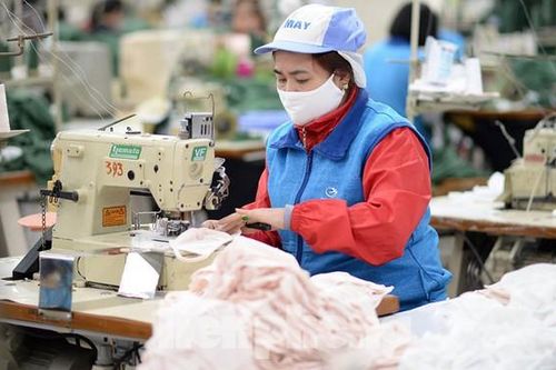 Miễn thuế nhập khẩu khẩu trang y tế, nguyên liệu phục vụ phòng chống dịch
