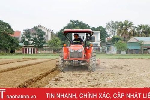 Nông dân Hà Tĩnh 'bám' thời vụ, đồng loạt xuống giống lạc xuân