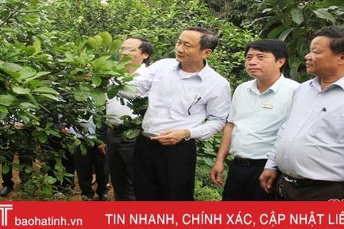 Hương Khê phát triển kinh tế vườn, nâng cao chất lượng cuộc sống cho người dân