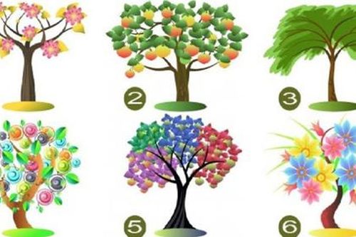 Trắc nghiệm: Điểm mạnh, điểm yếu của bạn là gì?