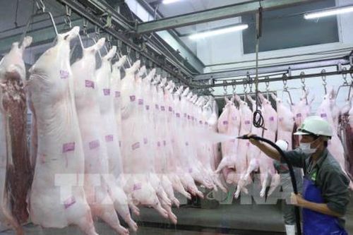 Năm 2020 có thể đảm bảo nguồn cung hơn 4 triệu tấn thịt lợn