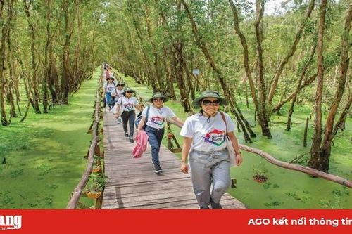 Ngành du lịch tỉnh tập trung nâng cao chất lượng dịch vụ