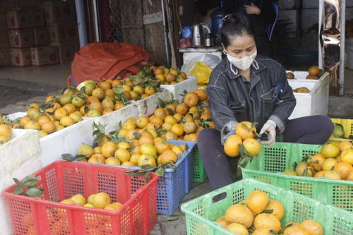 Nhộn nhịp thị trường hoa quả Việt