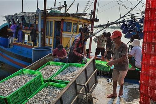 Ngư dân Gio Việt trúng đậm 'lộc biển' đầu năm