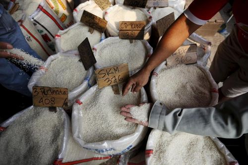 Ấn Độ: Xuất khẩu gạo năm 2019 giảm mạnh 18,1%, dự báo tiếp tục giảm 20% trong năm 2020