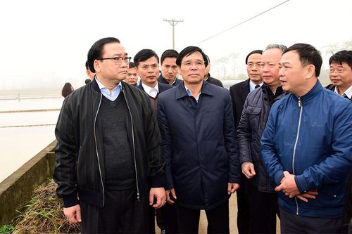 Bí thư Thành ủy Hoàng Trung Hải kiểm tra công tác chuẩn bị sản xuất nông nghiệp đầu năm
