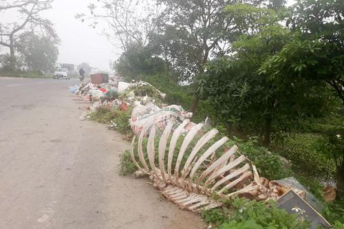 Rác thải 'tấn công' Tỉnh lộ 429