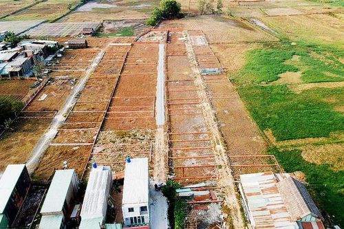 TP Hồ Chí Minh xin chuyển đổi gần 400ha đất nhiễm phèn để phát triển đô thị