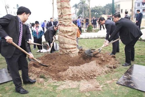 Hà Nội trồng mới gần 138.000 cây xanh