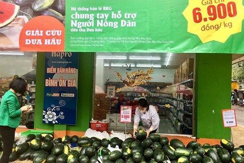 Các doanh nghiệp bán lẻ Hà Nội hỗ trợ nông dân tiêu thụ nông sản