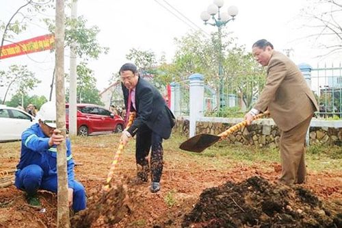 Quảng Trị, mùa Xuân trồng rừng