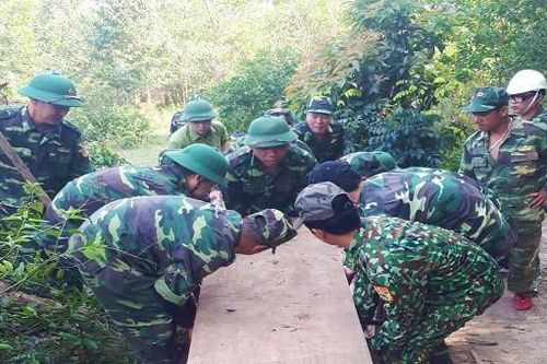 Thu giữ khối lượng lớn gỗ lậu cất giấu trong rừng sâu