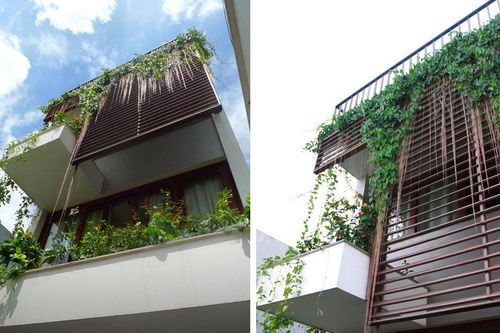 Mướt mắt với những mẫu nhà phố vừa nhìn đã mê