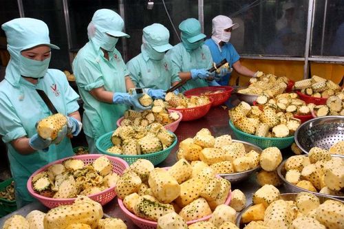 Lái xe đưa hàng sang Trung Quốc, quay về phải cách ly 14 ngày