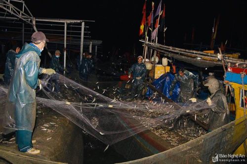 Khởi sắc những chuyến biển đầu năm mới nơi địa đầu xứ Nghệ