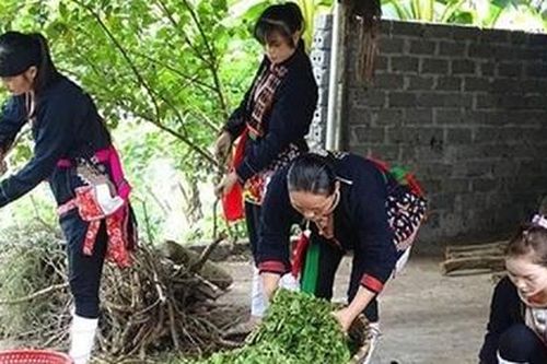 Hương núi thơm dâng hồn về đâu