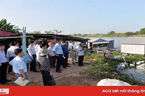 Phó Chủ tịch UBND tỉnh An Giang Trần Anh Thư khảo sát tình hình sạt lở tại các địa phương