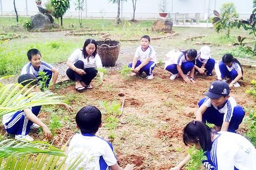 Bắt đầu từ giáo dục