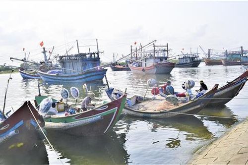 Ra biển bắt mực nổi