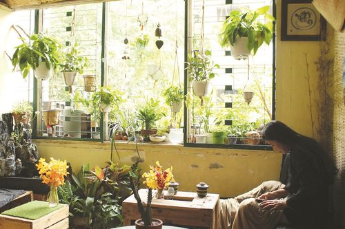 'Quán trà tùy tâm' an yên như ở nhà
