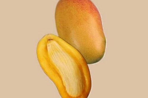 90% mọi người ăn xoài đều bỏ đi bộ phận quý hơn 'thần dược' này