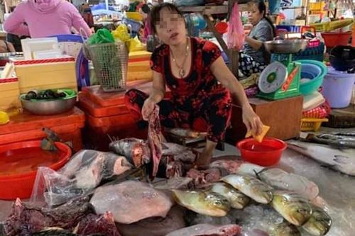 Lập biên bản người phụ nữ xẻ thịt rùa xanh bán ở chợ