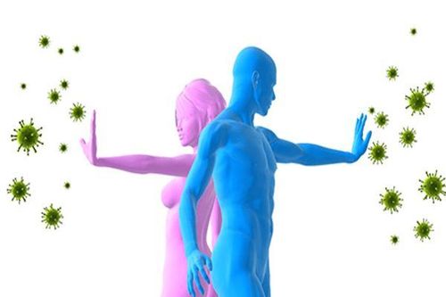 Tăng cường hệ miễn dịch