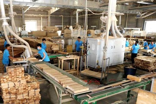 Đẩy mạnh phát triển rừng bền vững