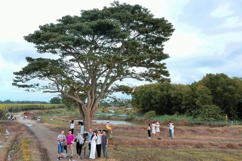 Băn khoăn việc giữ bối cảnh phim để làm du lịch