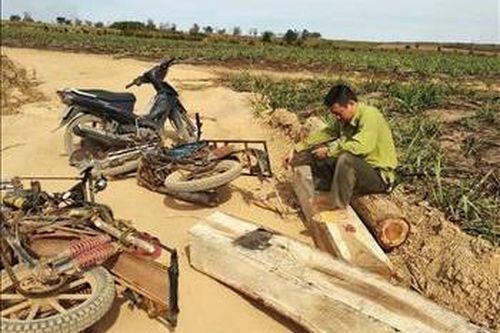 Thêm một vụ hành hung kiểm lâm Vườn quốc gia Yok Đôn