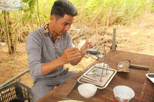 Đắk Lắk: Nuôi cấy thành công ngọc trai nước ngọt