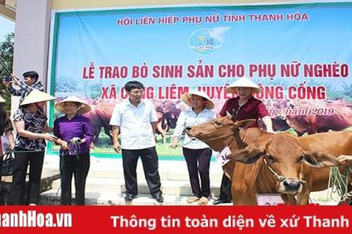 Mang niềm vui đến cho hội viên, phụ nữ tổ hợp tác chăn nuôi bò sinh sản xã Công Liêm