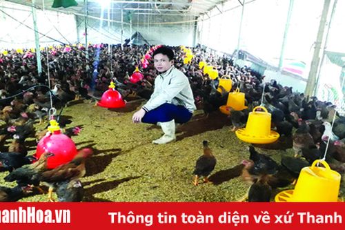 Huyện Cẩm Thủy xây dựng các mô hình sản xuất nông nghiệp hiệu quả