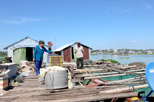 Tính toán căn cơ để phát triển làng bè