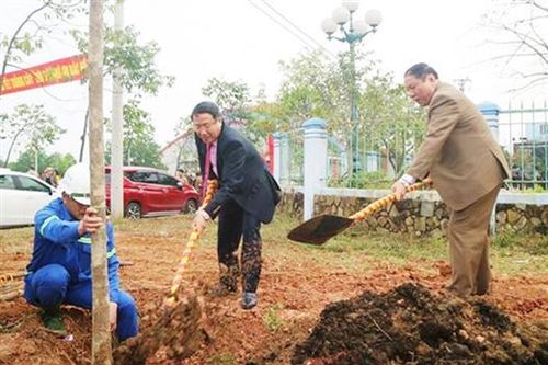 Từ tết trồng cây phát triển thành mùa xuân trồng cây