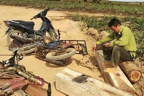 Bắt gỗ lậu, một cán bộ kiểm lâm bị 'lâm tặc' đánh trọng thương